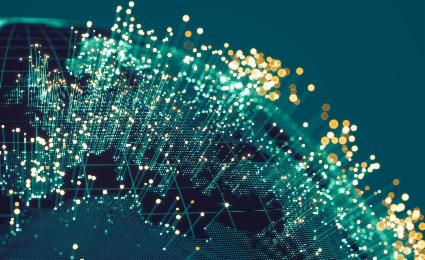 Robust Organizations Canada