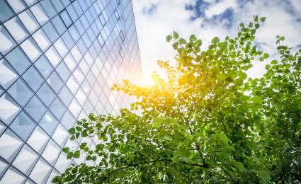 The impact of sustainability on retail banking