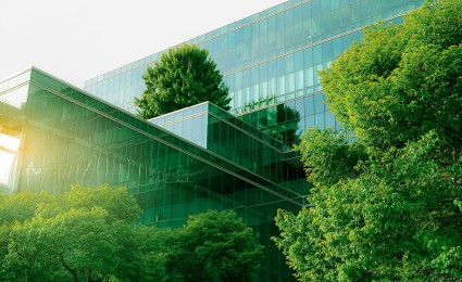 The maturity of environmental and social impact governance in Dutch businesses