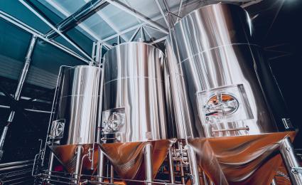The promise of precision fermentation: Can it really change the game?