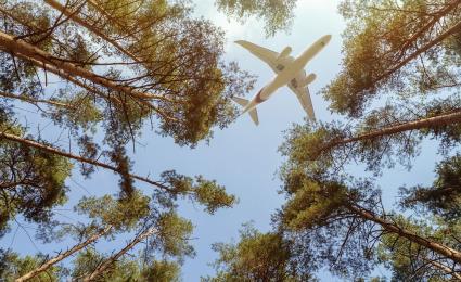 Strategic pricing for airline sustainability