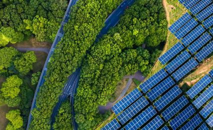 Raw materials: Resilient supply chains