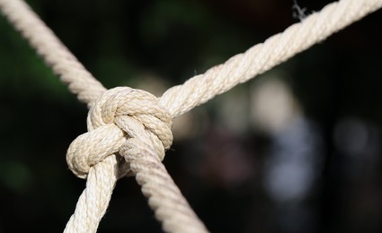 Building joint ventures to  capitalize on megatrends