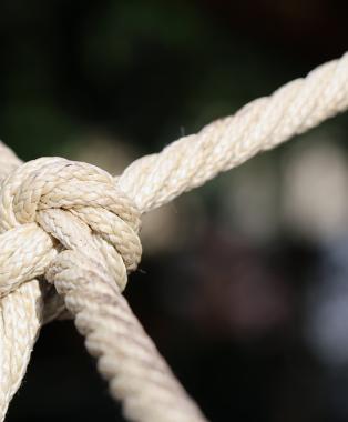 Building joint ventures to
capitalize on megatrends