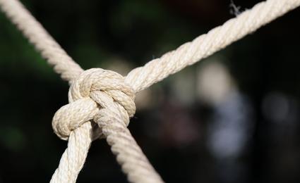 Building joint ventures to capitalize on megatrends