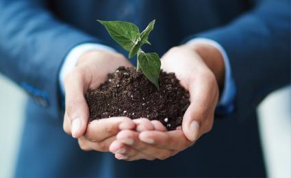 How ready are Mexican companies for the global sustainability shift?