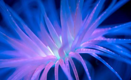 Building corporate resilience