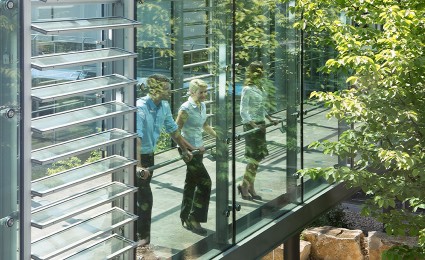 Grüne Büros sind unsere Zukunft