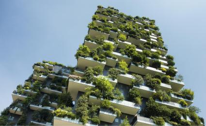 Developing a sustainable strategy for your company
