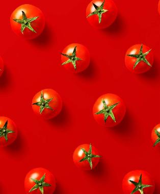 Tomato industry: Vertical integration increases efficiency and profitability