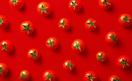 Tomato industry: Vertical integration increases efficiency and profitability