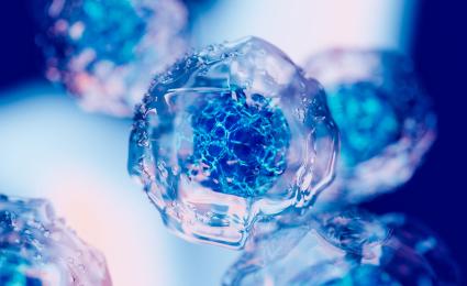 Cell and gene therapies: Strategies for commercial success