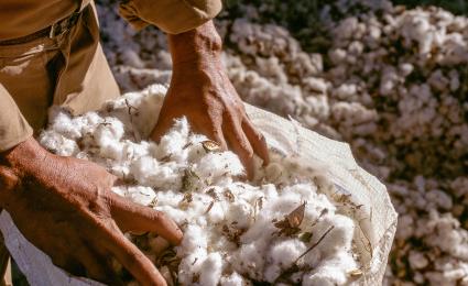High fashion, low emissions: Climate action in the textile and apparel industry