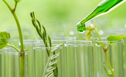 Will environmental sustainability hold sway over the pharmaceuticals industry?
