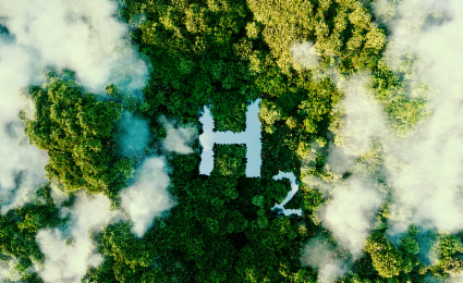 Switching from Grey to Green Hydrogen in the UK