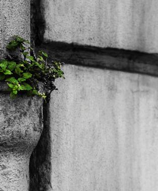 The Adaptable Company