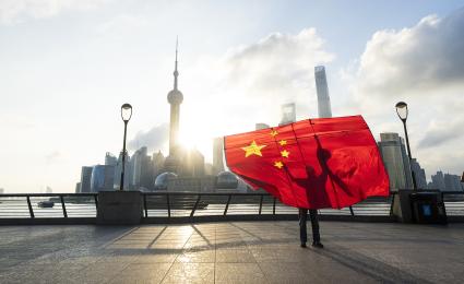 Manufacturers (OEMs)