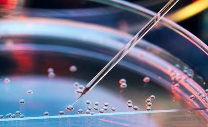 Global Pharma Study 2025 – how to thrive in times of radical uncertainty