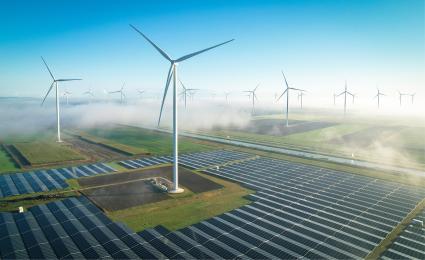 The renewables game: Diversification and excellence drive success