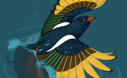 How evolution drives success in the digital era