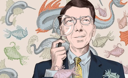 The evolution of an innovation guru