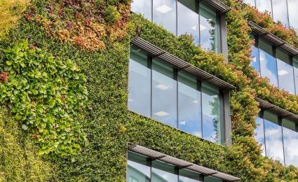 Steering towards a sustainable corporate strategy