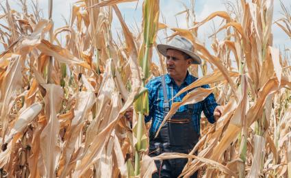 A thirst for change: Improving water resilience in the food and beverage industry