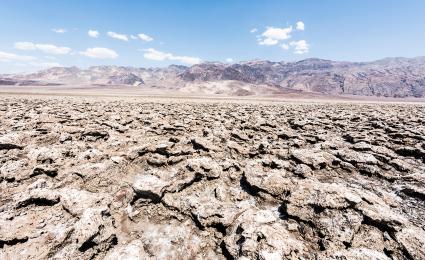 Illiquid: Why water is the strategic business issue you cannot ignore