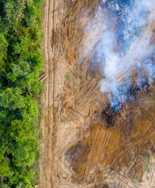 Roland Berger Trend Compendium 2050: Environment & Resources