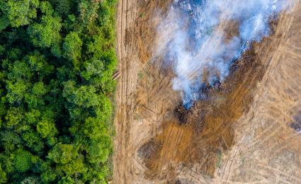 Roland Berger Trend Compendium 2050: Environment & Resources