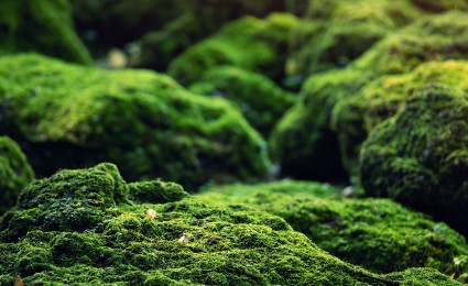 Roland Berger ESG Report 2023