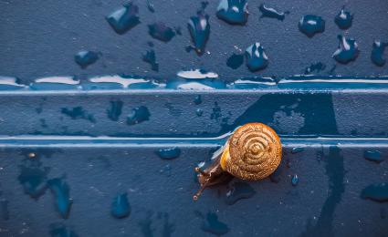 The German economy in 2025