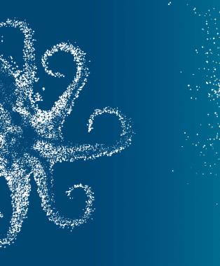 Robuste Organisationen: Erfolg für ungewisse Zeiten sichern