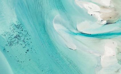 Roland Berger ESG report 2022