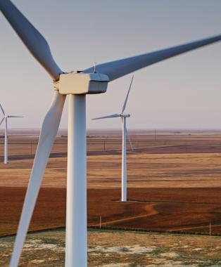 Sustainability & Climate Action