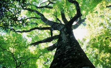 Future of health 5 - A long and healthy life