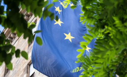 How businesses can thrive under the Carbon Border Adjustment Mechanism (CBAM)
