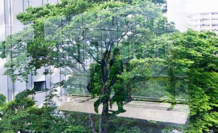 ESG in banking: Combining sustainability with profitability