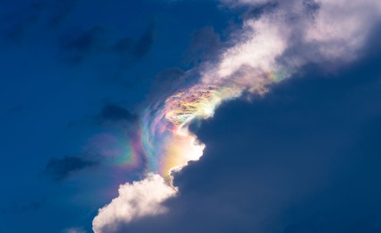 Restructuring study 2022: Crisis atmosphere in Germany
