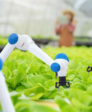Precision farming