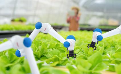 Precision farming
