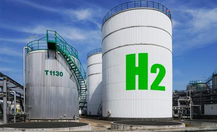 Value capture in green hydrogen