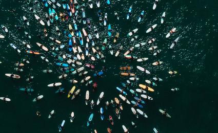 Robust Organizations