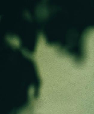 サステナビリティへのコミットメント