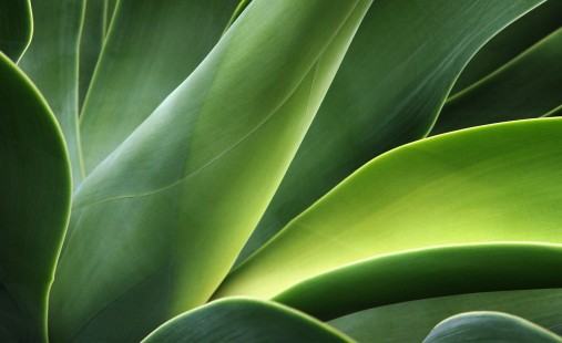 Our ESG and UN Global Compact reports