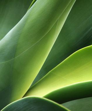 Our ESG and UN Global Compact reports