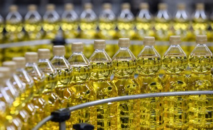 Capital goods winners study: Packaging and process equipment