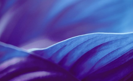 Roland Berger ESG Report 2024