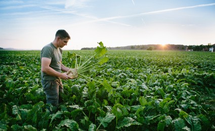 Transformation in the European sugar industry