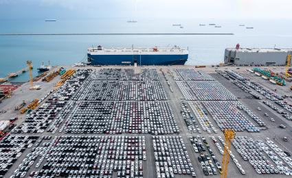 Polarization and Globalization